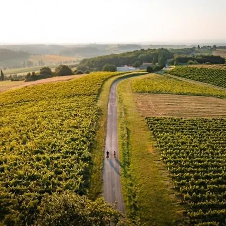 Domaine De La Monestarie - Teritoria Bernac (Tarn)