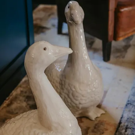 Domaine De La Monestarié - Teritoria 4* Bernac (Tarn)