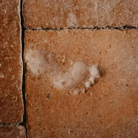 Affittacamere Domaine De La Monestarié - Teritoria 4*