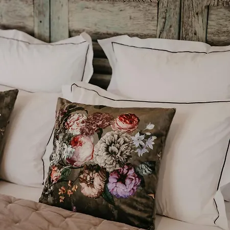 Domaine De La Monestarie - Teritoria Bernac (Tarn)